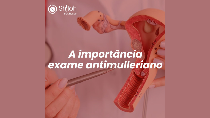 Entenda com Oluwatosin Tolulope Ajidahun como prostatites e epididimites podem comprometer a fertilidade.