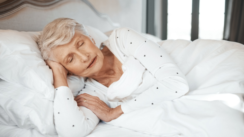 Sindnapi - Sindicato Nacional dos Aposentados, Pensionistas e Idosos